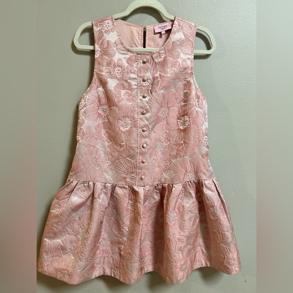 entro Dresses & Skirts - Entro Floral Dress Small Pink Jacquard Fit Flare Lined Sleeveless Boutique